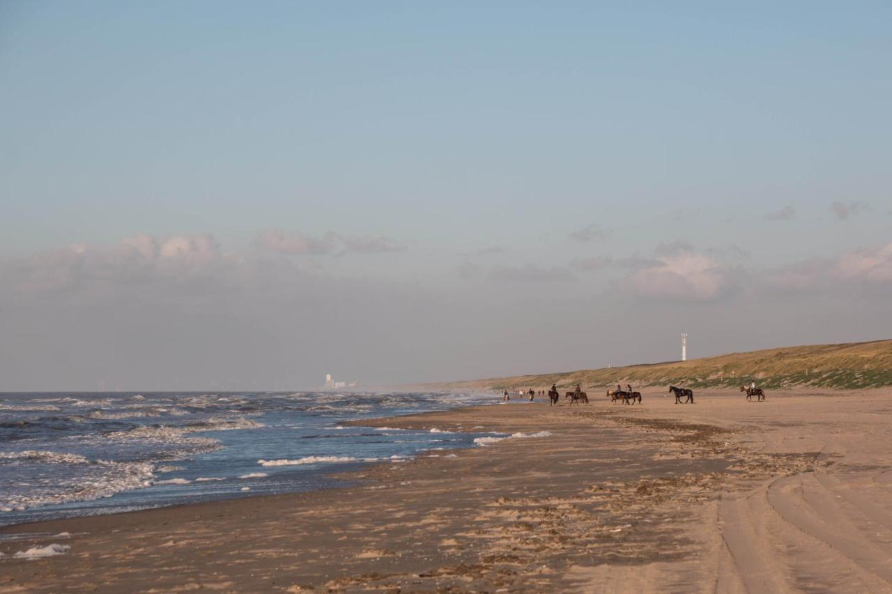 The Flying Pig Beach Hostel, Ages 18 - 40 Noordwijk Eksteriør billede