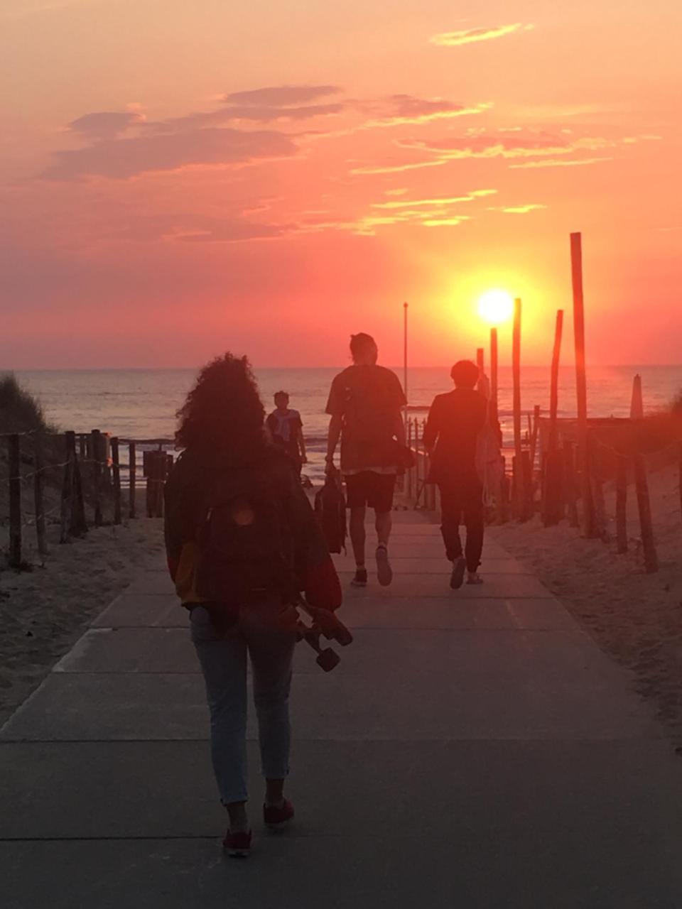 The Flying Pig Beach Hostel, Ages 18 - 40 Noordwijk Eksteriør billede