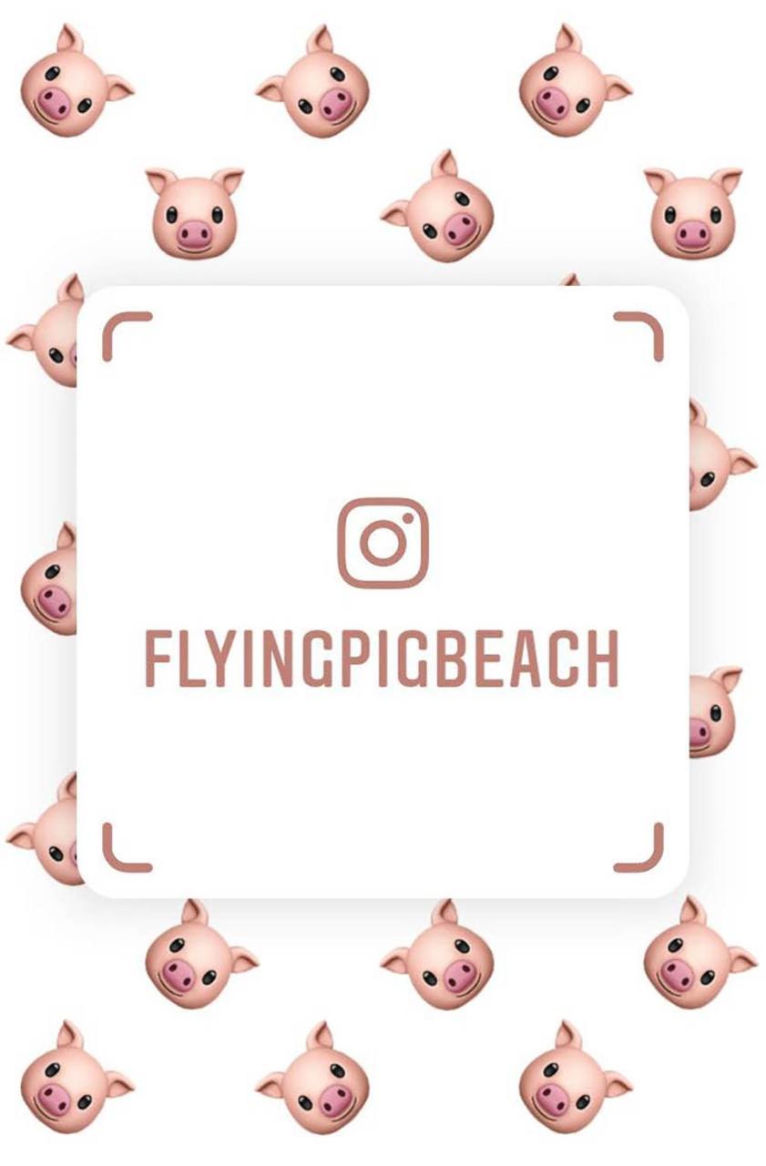 The Flying Pig Beach Hostel Noordwijk Eksteriør billede
